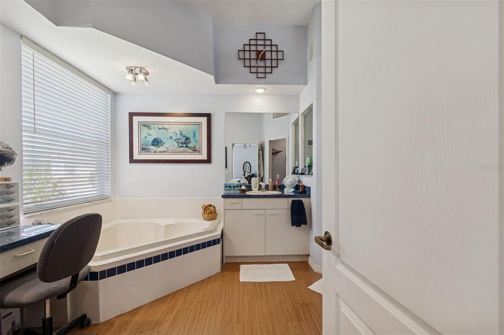 928 Oakview Road Tarpon Springs, FL 34689 - Photo 32 of 75 a bathroom with a sink a bathtub and a window