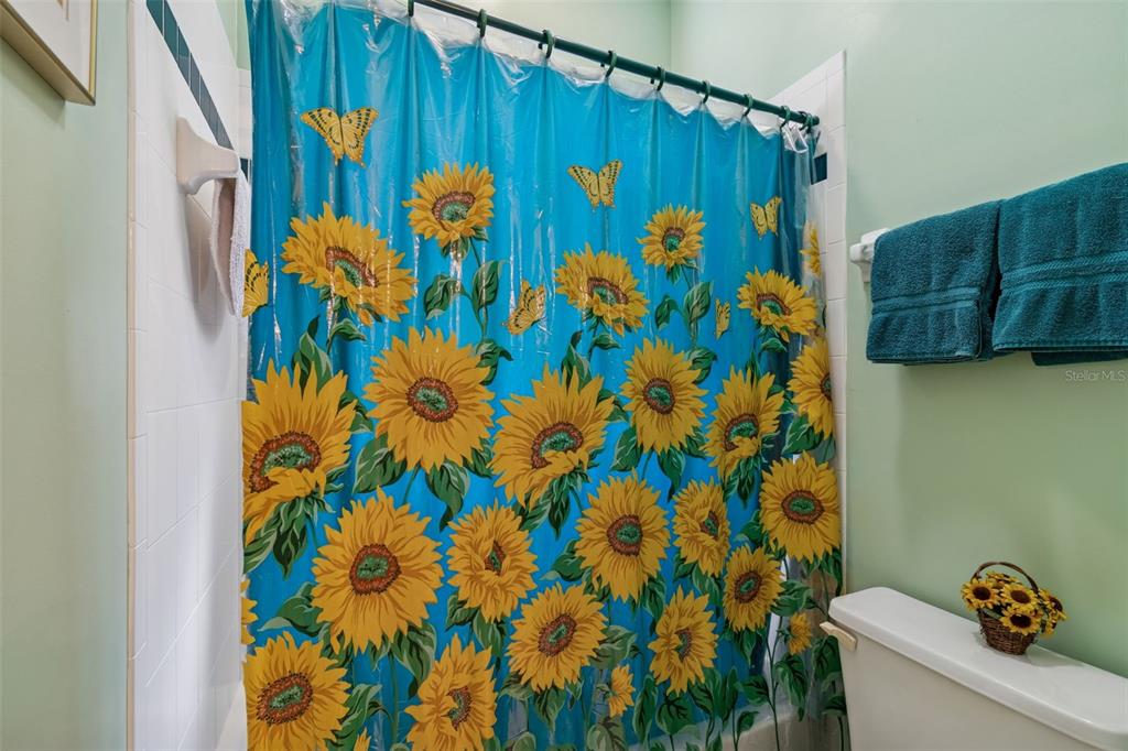 928 Oakview Road Tarpon Springs, FL 34689 - Photo 38 of 75 a view of a blue wall with a potted plant