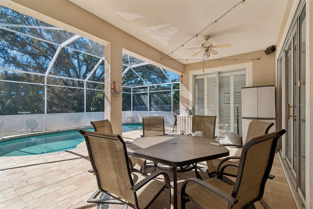 928 Oakview Road Tarpon Springs, FL 34689 - Photo 55 of 75 a view of a dining room with furniture window and outside view