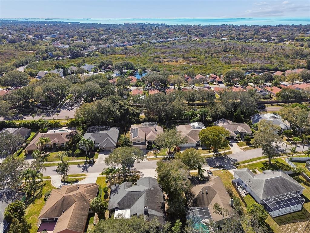 928 Oakview Road Tarpon Springs, FL 34689 - Photo 62 of 75