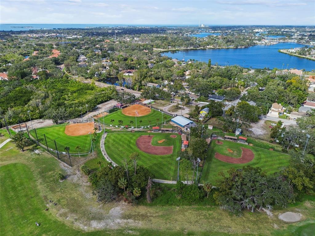 928 Oakview Road Tarpon Springs, FL 34689 - Photo 65 of 75 an aerial view of residential houses with outdoor space and trees
