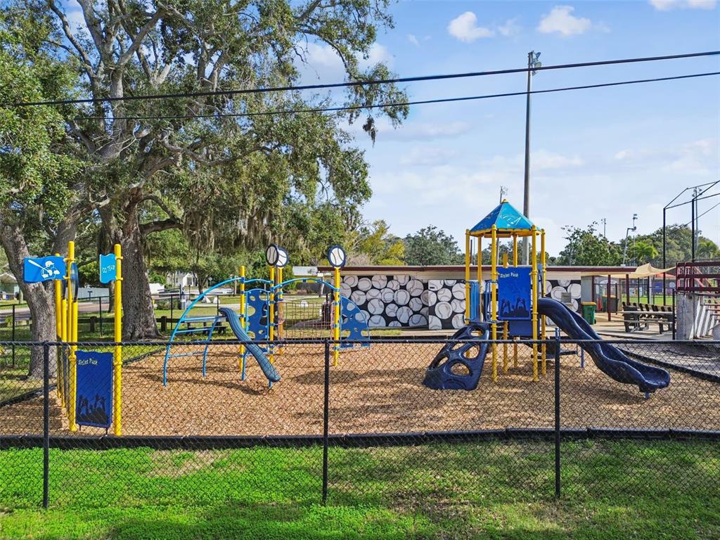 928 Oakview Road Tarpon Springs, FL 34689 - Photo 66 of 75 a view of a park with slide
