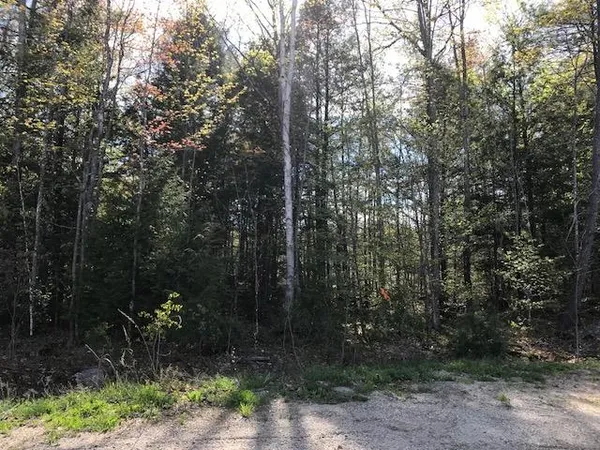 $65,000 | Lot 12 Prokey Drive, Limerick, ME 04048