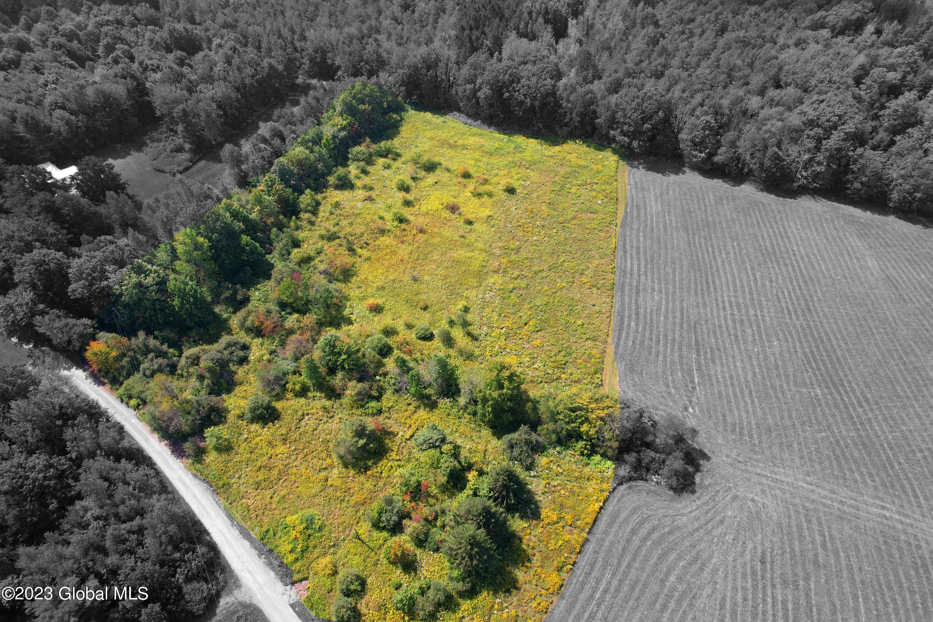 L25 Blueberry Road Sidney Center, NY 13839 - Photo 2 of 8 approx property line