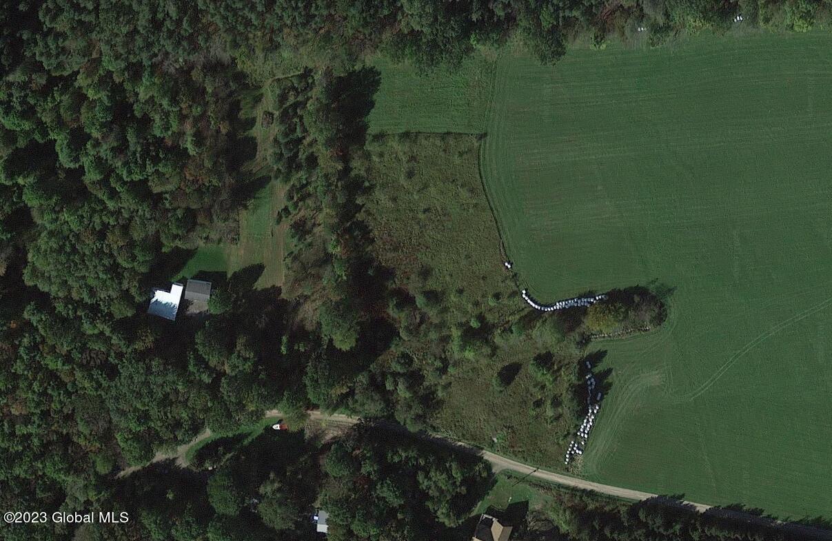 L25 Blueberry Road Sidney Center, NY 13839 - Photo 4 of 8 top view