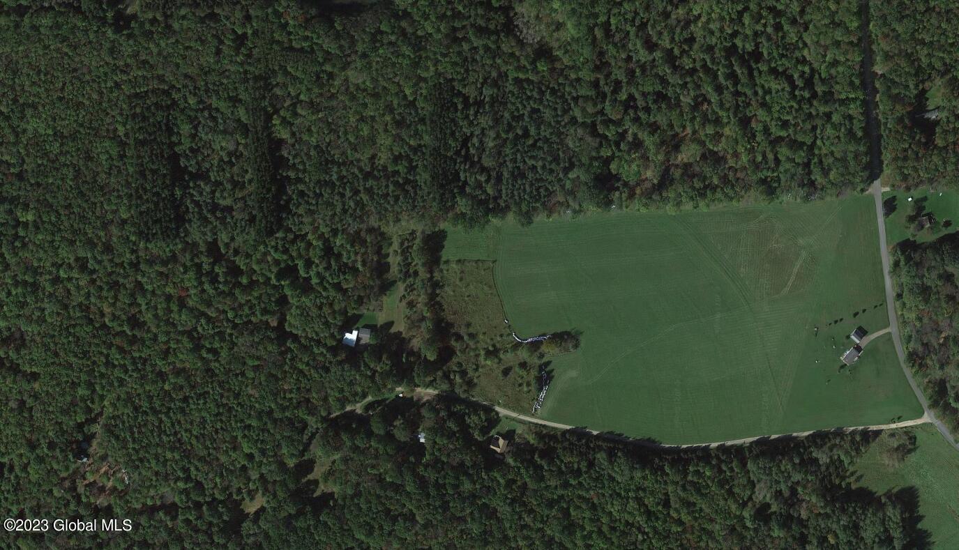 L25 Blueberry Road Sidney Center, NY 13839 - Photo 5 of 8 top view