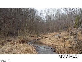 0 C Road Harrisville, WV 26362 - Photo 6 of 10