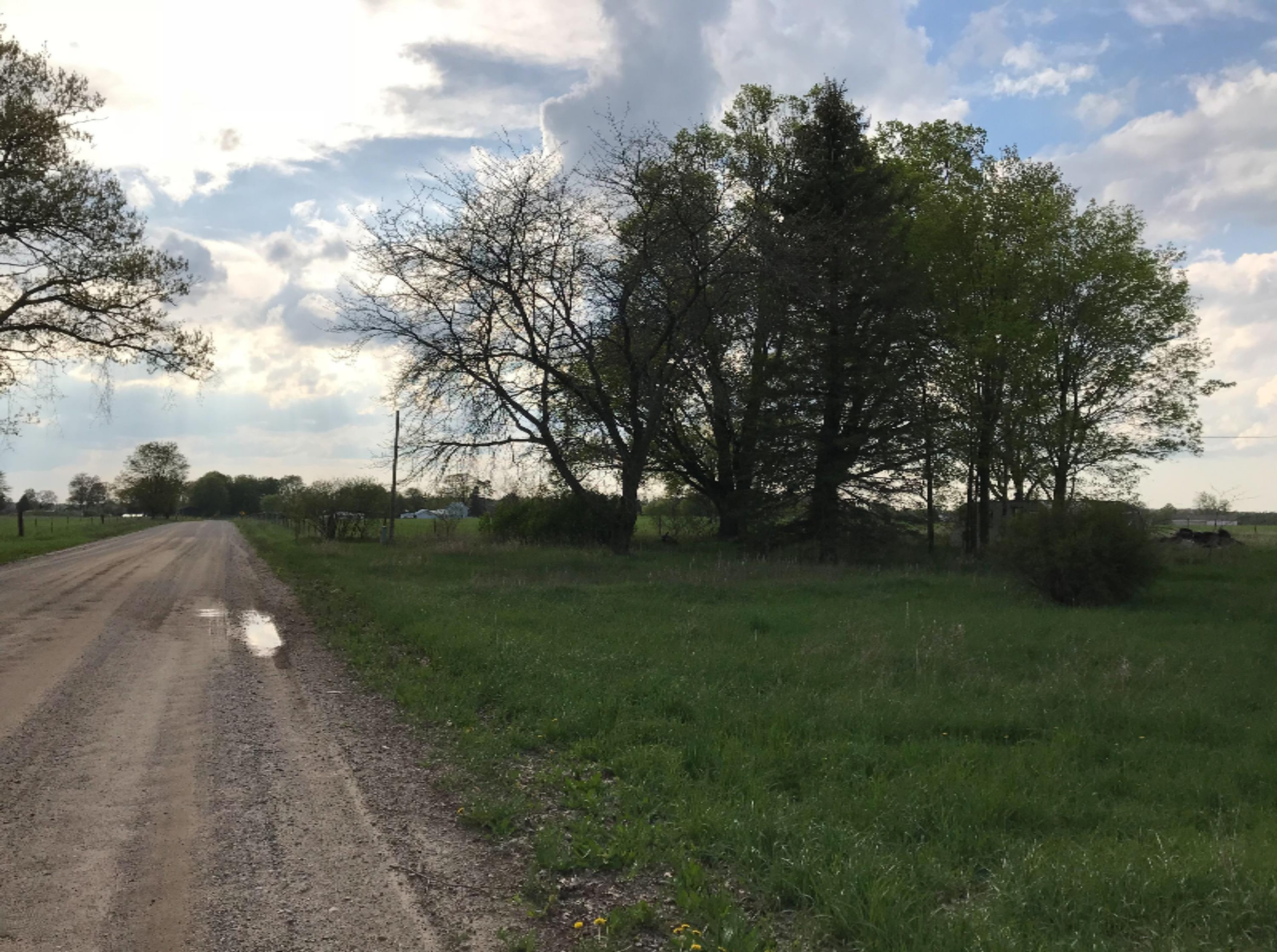 8250 Townline Road Lakeview, MI 48850 - Photo 1 of 2 9CF8A3E9-6D04-4017-99D9-89E3FCFDF003