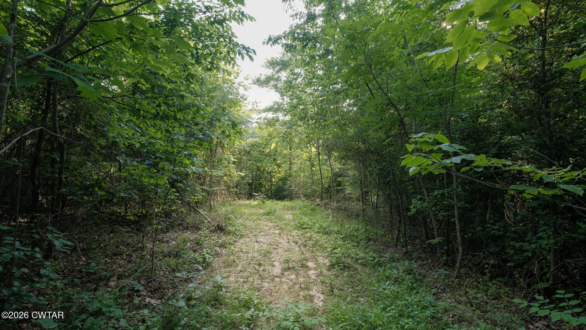 382 Mcadams Road Greenfield, TN 38230 - Photo 19 of 26 McAdams-7_(2048)