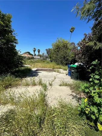 a view of a garden