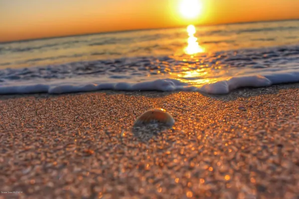 a view of an ocean and beach