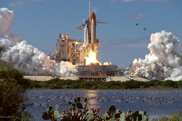 a view of a house with a yard and a large tree