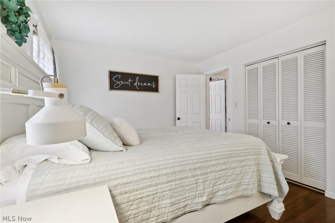 139 Solon Road Chagrin Falls, OH 44022 - Photo 22 of 41 Master bedroom featuring a closet and dark wood flooring