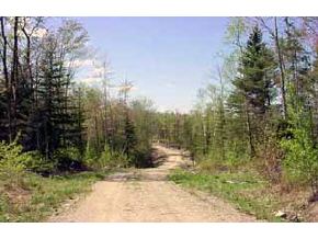 * Off Page Hill Road Lancaster, NH 03584 - Photo 2 of 6