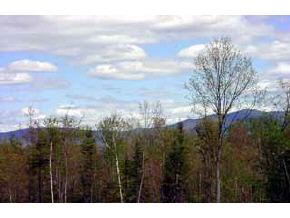 * Off Page Hill Road Lancaster, NH 03584 - Photo 3 of 6