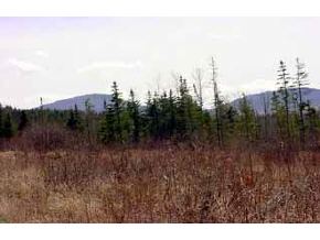 * Off Page Hill Road Lancaster, NH 03584 - Photo 5 of 6
