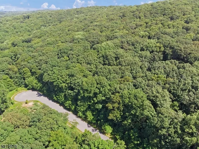 a view of a bunch of trees and bushes