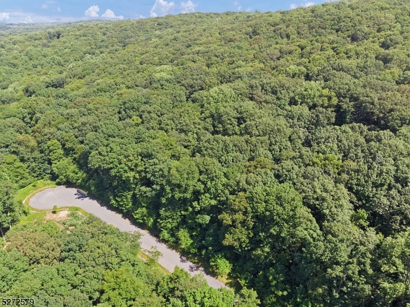 7 Settlers Ridge Court Port Murray, NJ 07865 - Photo 15 of 21 a view of a bunch of trees and bushes