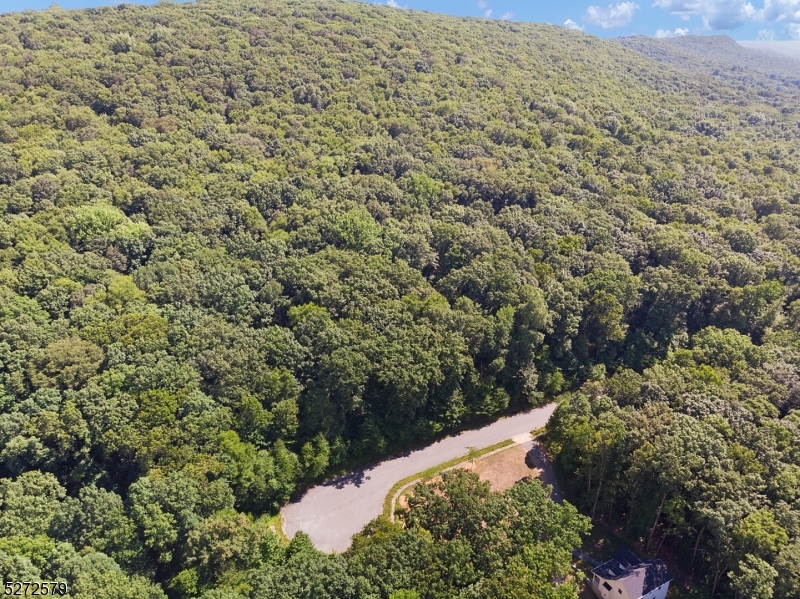 7 Settlers Ridge Court Port Murray, NJ 07865 - Photo 17 of 21 a view of a bunch of trees and bushes