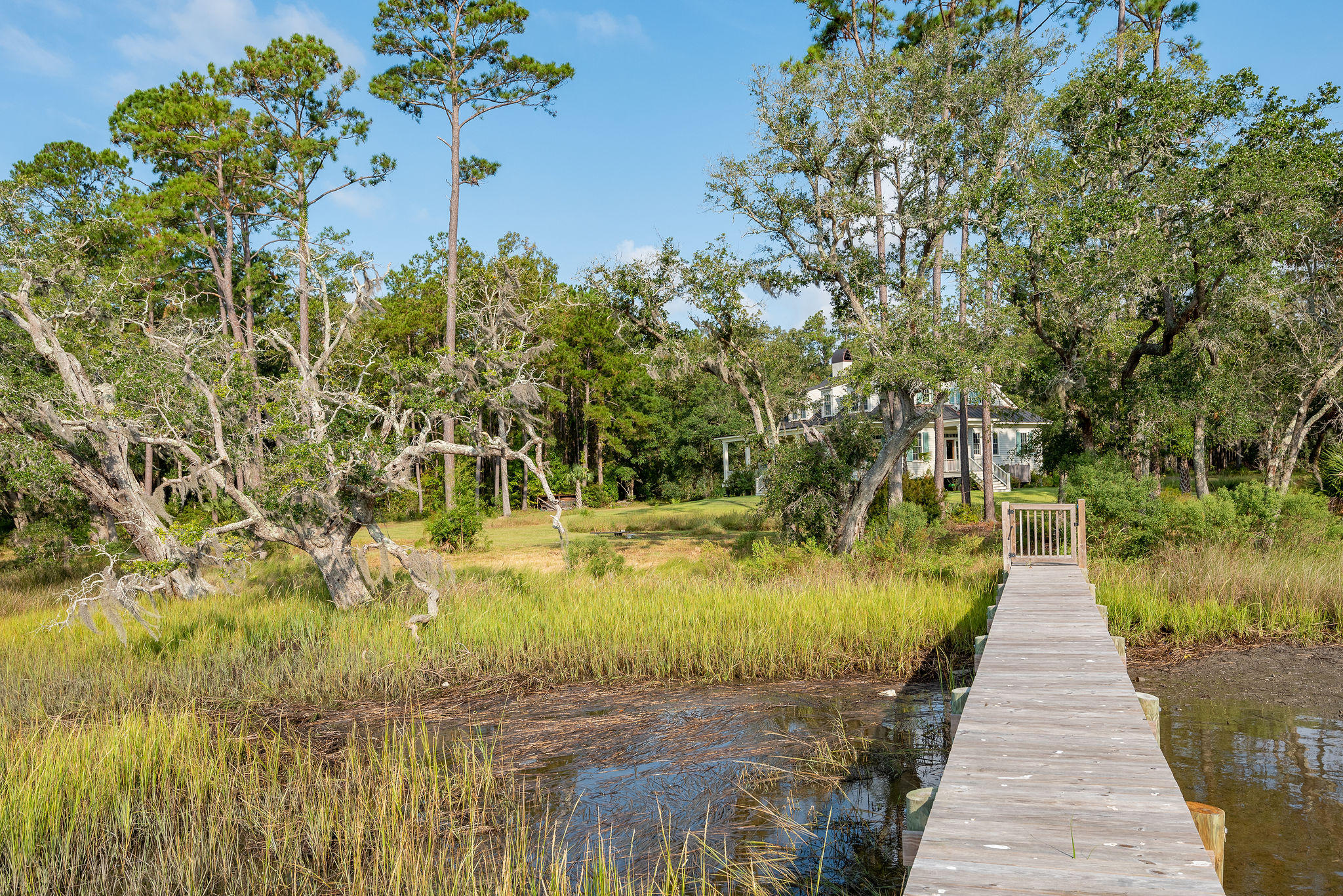 4915 Retriever Road Wadmalaw Island, SC 29487 - Photo 11 of 35 4915RetrieverRoad-11