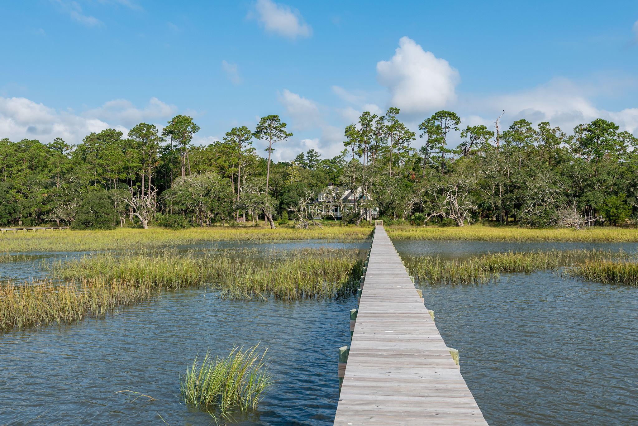 4915 Retriever Road Wadmalaw Island, SC 29487 - Photo 12 of 35 4915RetrieverRoad-12