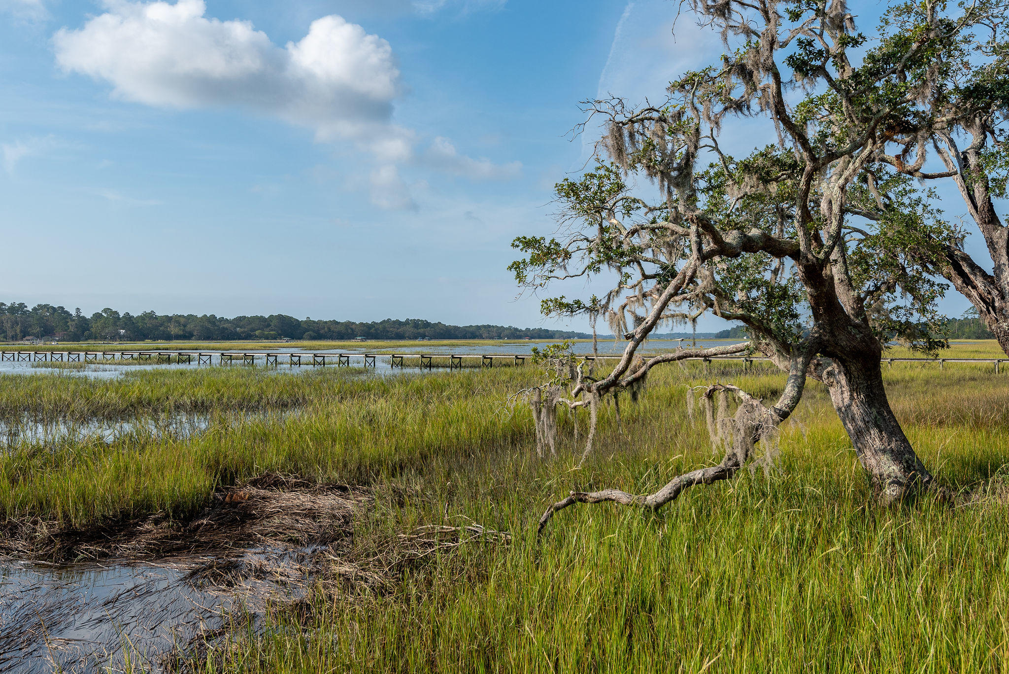 4915 Retriever Road Wadmalaw Island, SC 29487 - Photo 15 of 35 4915RetrieverRoad-15