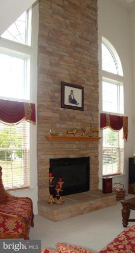 9715 Watts Road Owings Mills, MD 21117 - Photo 12 of 23 Fireplace
