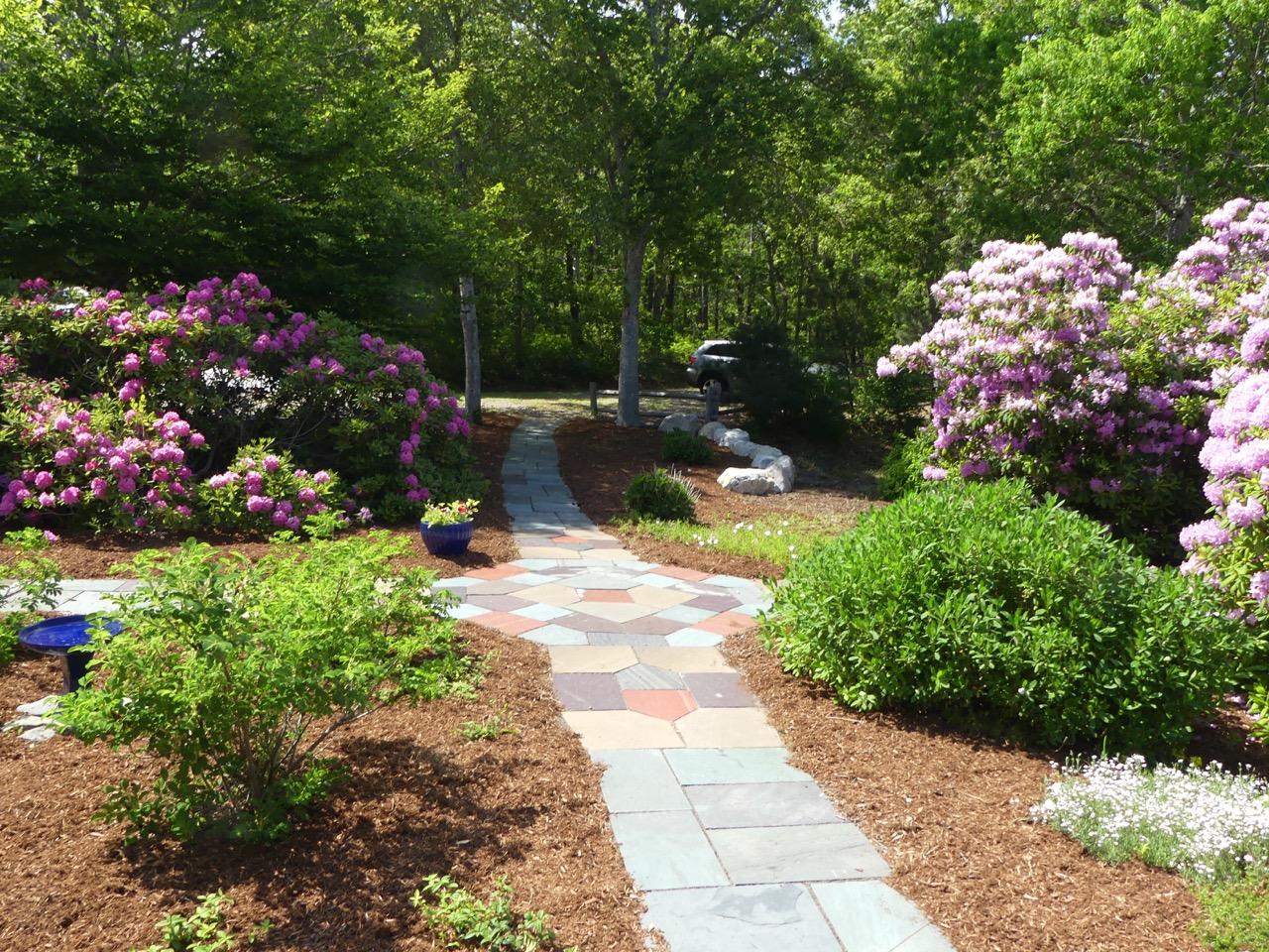 935 Cable Road Eastham, MA 02642 - Photo 13 of 35 a view of a flower in a yard