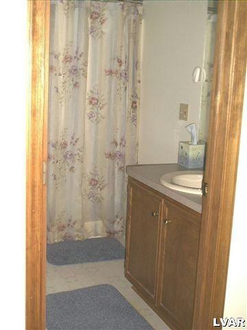 21 Roman Road Kunkletown, PA 18058 - Photo 7 of 8 a bathroom with a sink and a shower