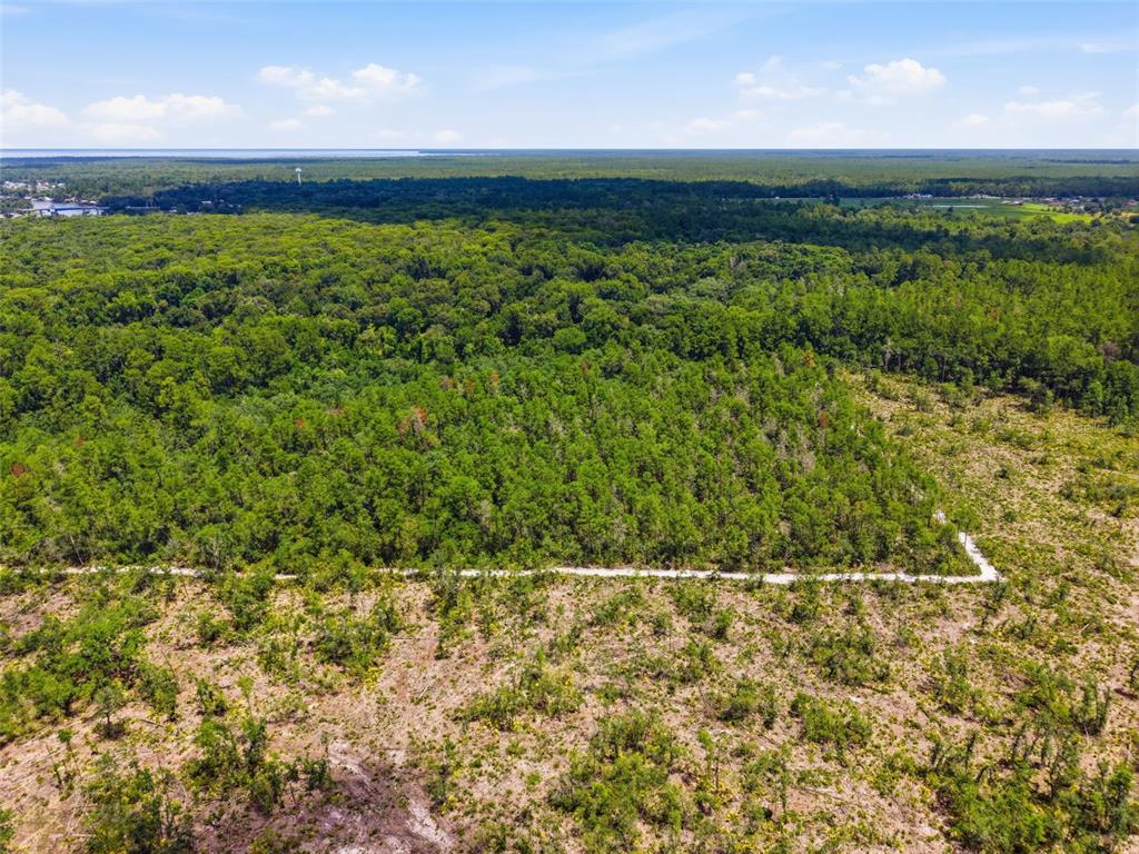2140 St Johns River Road Astor, FL 32102 - Photo 24 of 36 a view of a yard