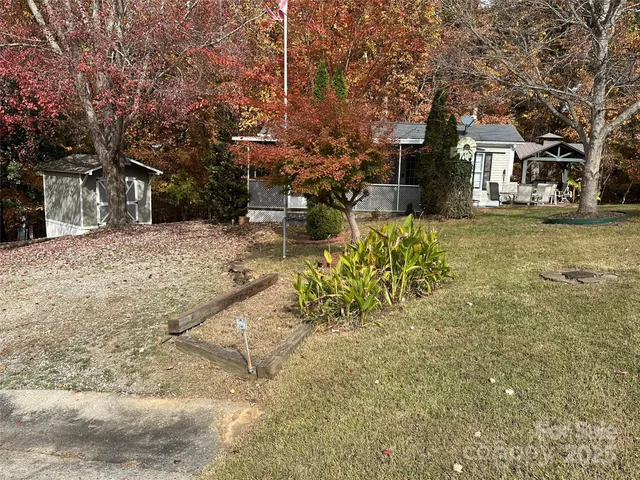 a view of a yard with plants and large trees