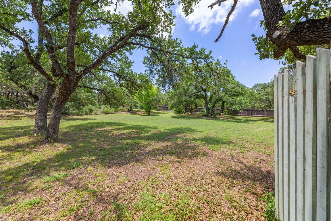 9005 Dorella Lane Austin, TX 78736 - Photo 29 of 38 a view of a field with a tree in the background