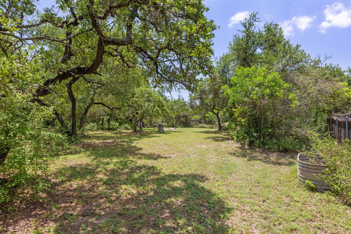 9005 Dorella Lane Austin, TX 78736 - Photo 32 of 38 a view of a yard with an trees