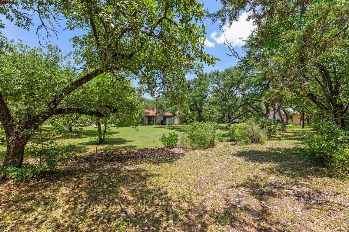 9005 Dorella Lane Austin, TX 78736 - Photo 37 of 38 a view of a yard with a tree