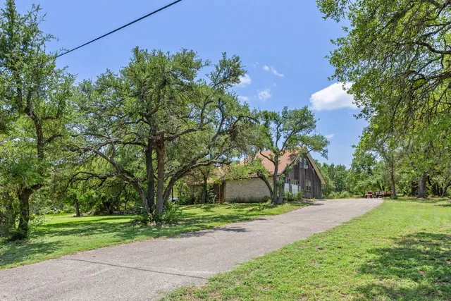 a view of a yard with plants and trees
