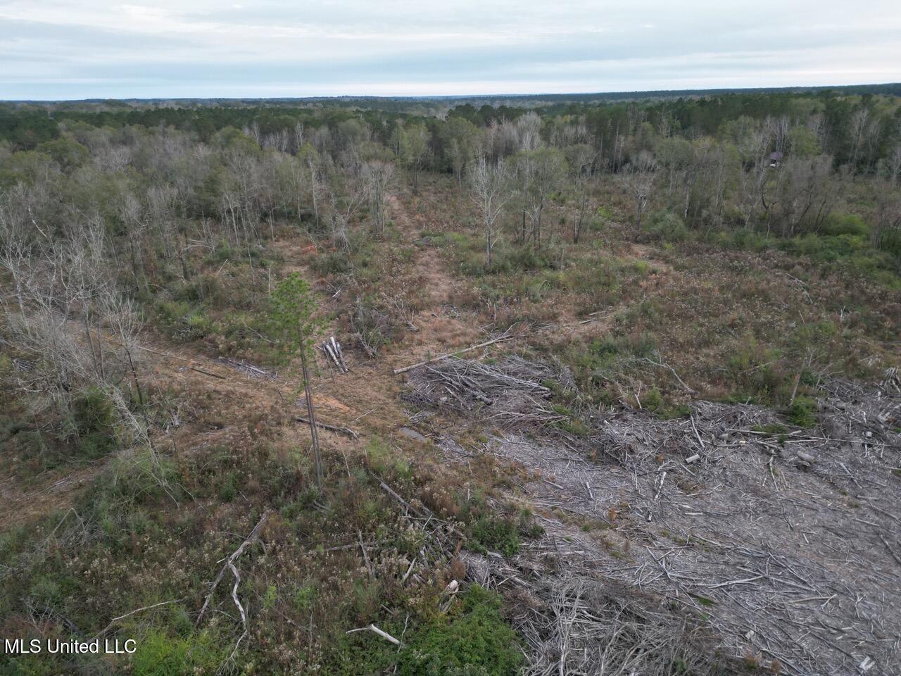 1191 Emma Kelly Road Magnolia, MS 39652 - Photo 11 of 16 DJI_0034 Large
