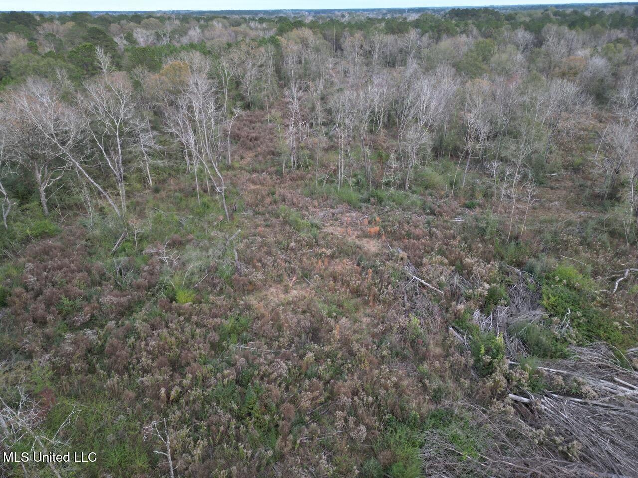 1191 Emma Kelly Road Magnolia, MS 39652 - Photo 12 of 16 DJI_0035 Large