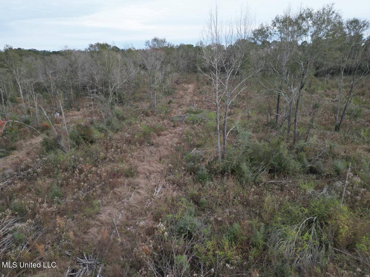 1191 Emma Kelly Road Magnolia, MS 39652 - Photo 14 of 16 DJI_0037 Large