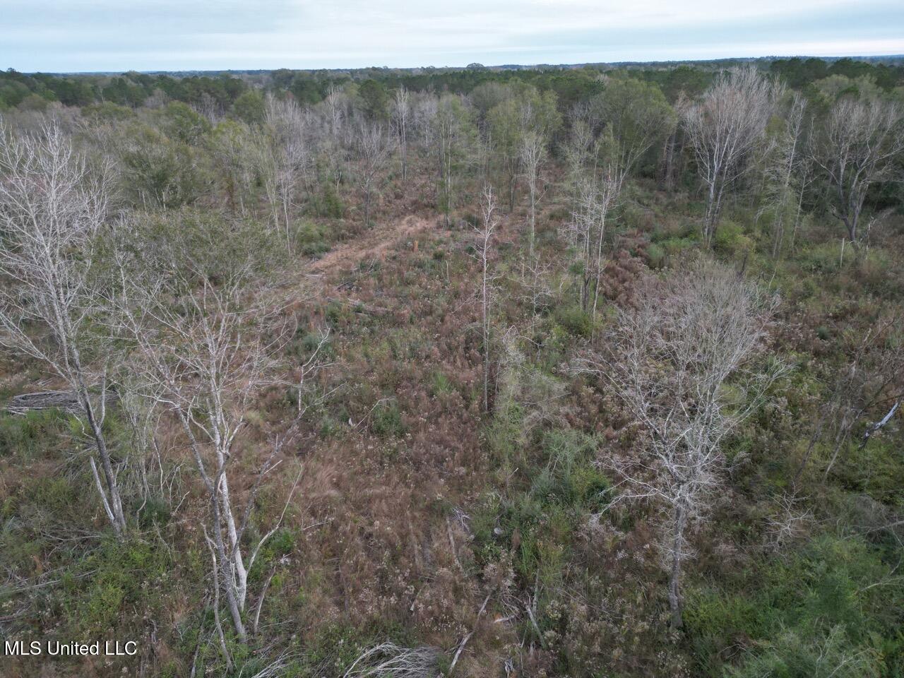 1191 Emma Kelly Road Magnolia, MS 39652 - Photo 15 of 16 DJI_0038 Large