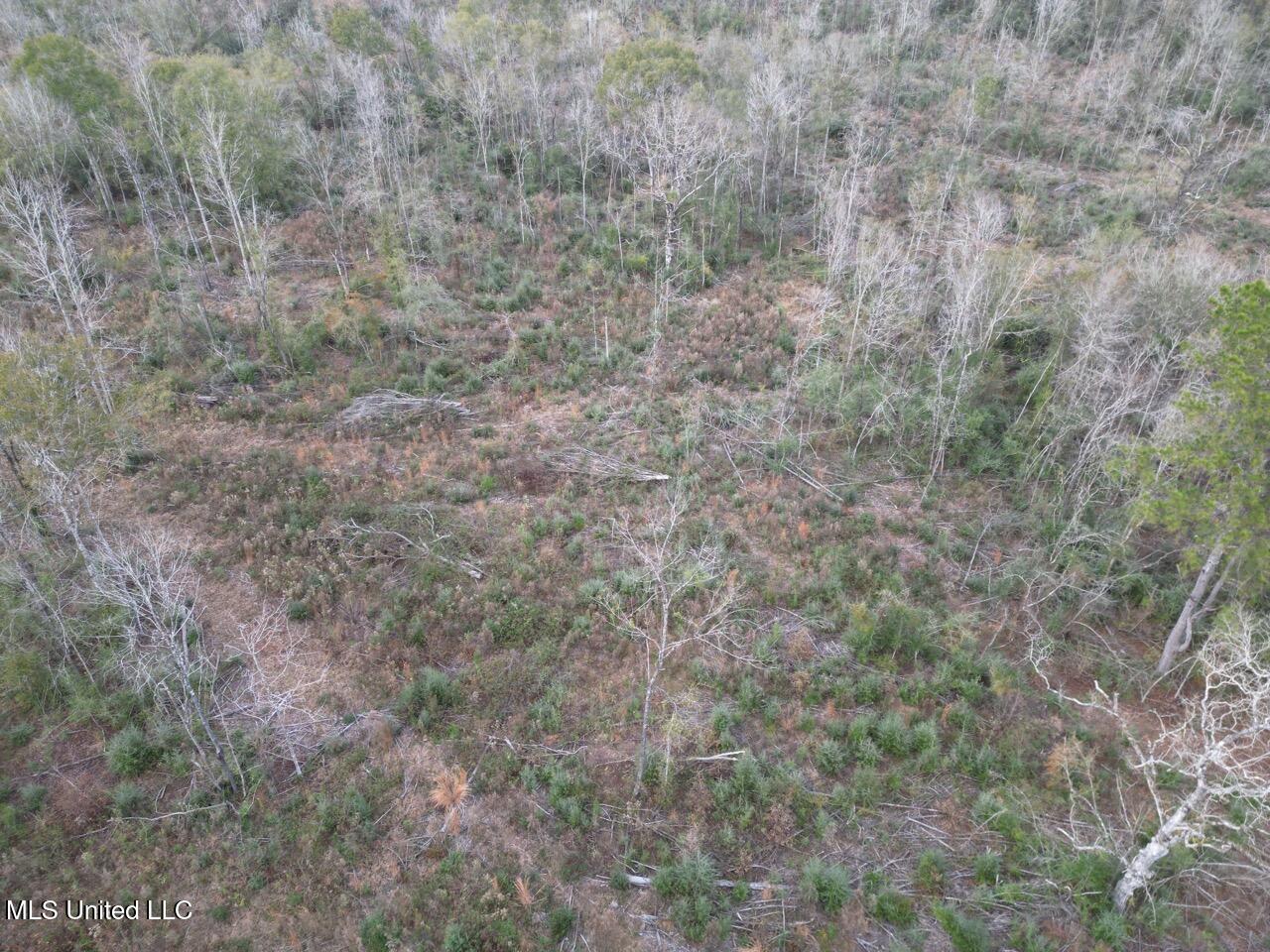 1191 Emma Kelly Road Magnolia, MS 39652 - Photo 3 of 16 DJI_0026 Large