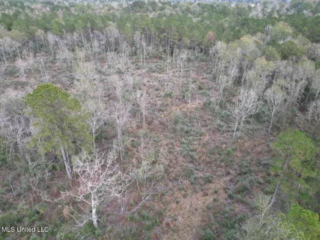 $125,000 | 1191 Emma Kelly Road, Magnolia, MS 39652