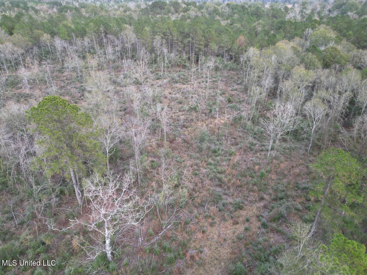 1191 Emma Kelly Road Magnolia, MS 39652 - Photo 4 of 16 DJI_0027 Large