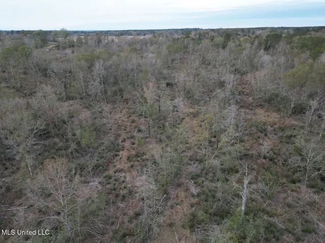 $125,000 | 1191 Emma Kelly Road, Magnolia, MS 39652