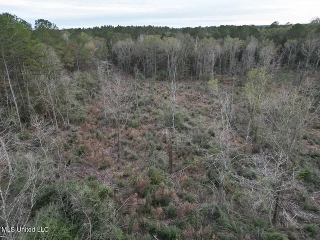 $125,000 | 1191 Emma Kelly Road, Magnolia, MS 39652