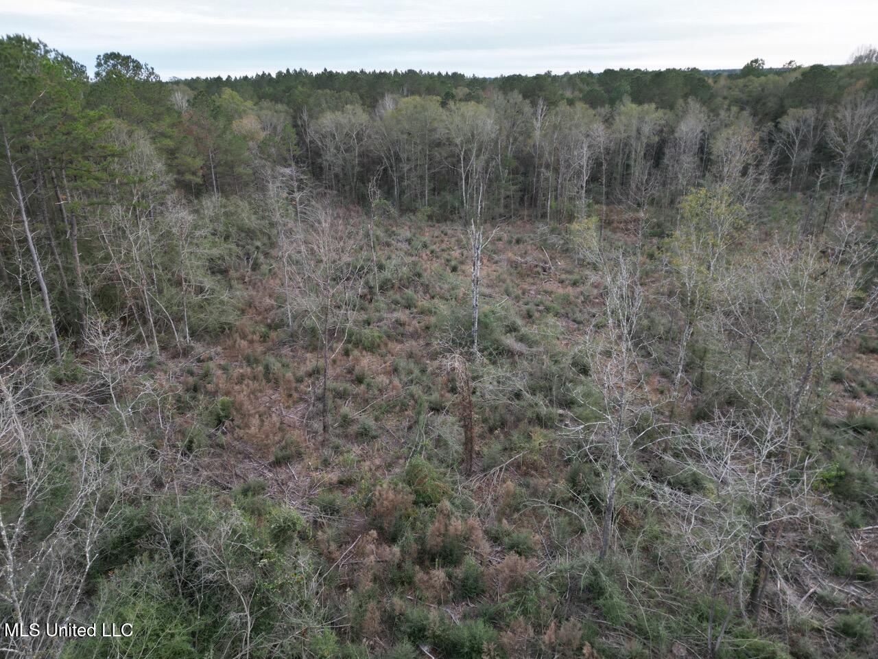 1191 Emma Kelly Road Magnolia, MS 39652 - Photo 6 of 16 DJI_0029 Large