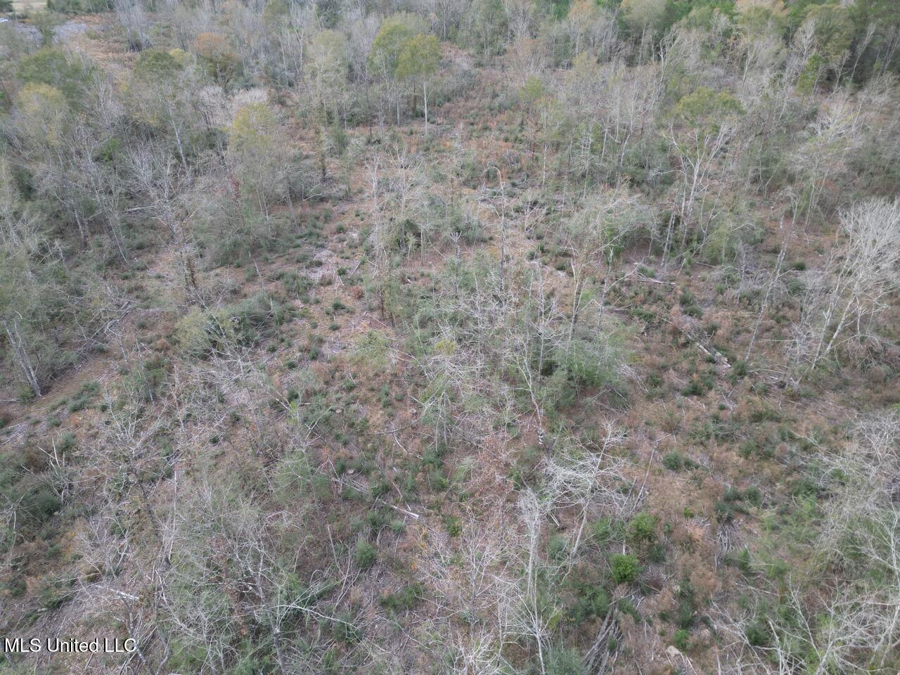 1191 Emma Kelly Road Magnolia, MS 39652 - Photo 7 of 16 DJI_0030 Large
