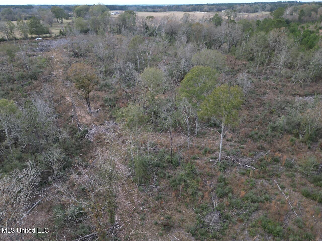 1191 Emma Kelly Road Magnolia, MS 39652 - Photo 8 of 16 DJI_0031 Large