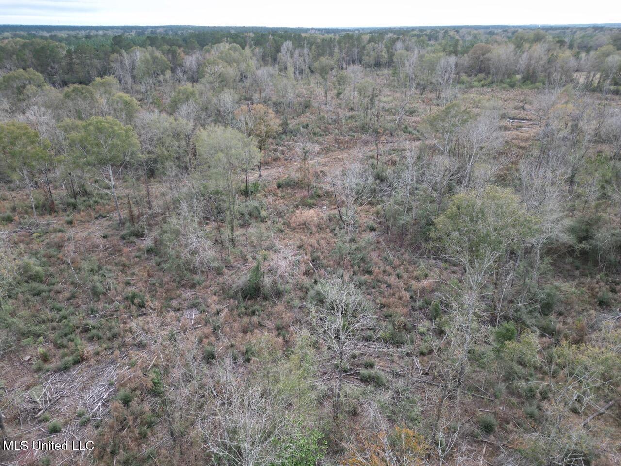 1191 Emma Kelly Road Magnolia, MS 39652 - Photo 9 of 16 DJI_0032 Large