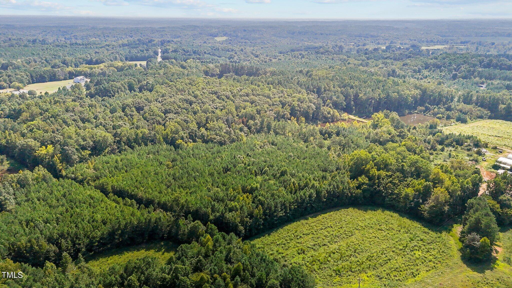 2 B Watkins Road Oxford, NC 27565 - Photo 4 of 9 7-web-or-mls-DJI_20240826152454_0798_D