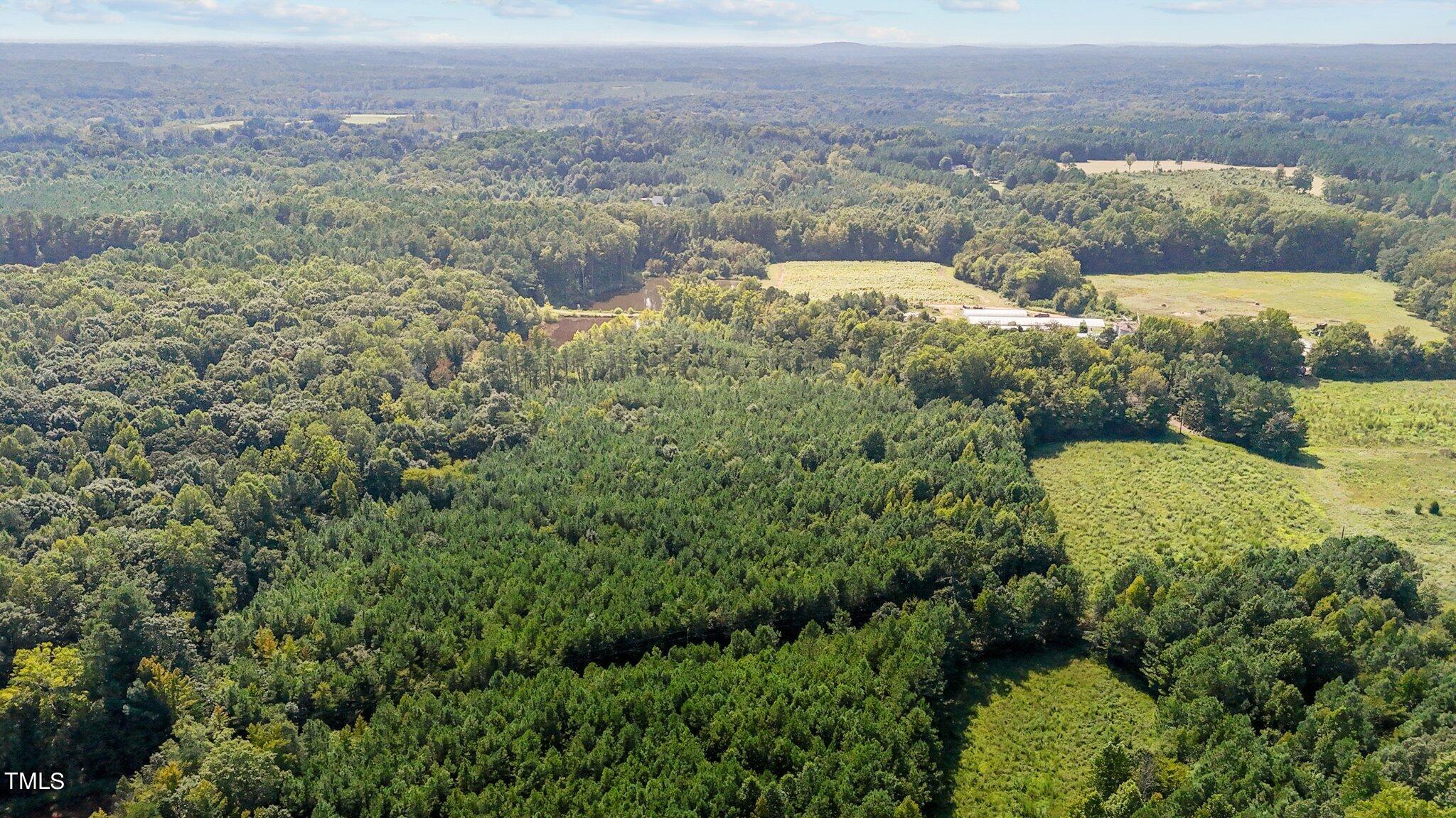 2 B Watkins Road Oxford, NC 27565 - Photo 5 of 9 6-web-or-mls-DJI_20240826152429_0797_D